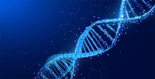 超越crispr技術(shù) 新基因編輯工具seekrna面世 精確切割靶點(diǎn)并插入新dna序列