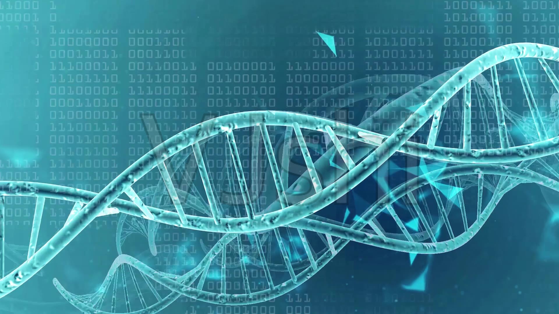 基因醫(yī)藥生物科技科學_1920X1080_高清視頻素材下載(編號:3431249)_實拍視頻