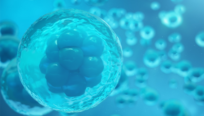 專注細(xì)胞生物科技,&ldquo;達(dá)爾文生物&rdquo;完成A+輪融資